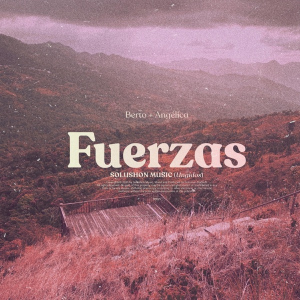 Fuerzas
