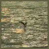 J Fletch - Lo-Fly