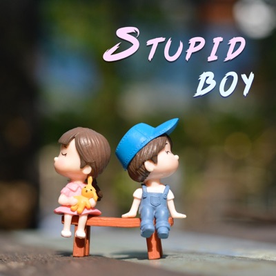 Stupid Boy - Single