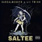 Saltee (feat. LIL TWINN) - DAREALM3SSYK lyrics