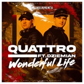 Wonderful Life (feat. Dziemian) [Radio Edit] artwork