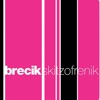 Brecik