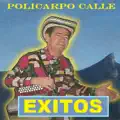 La porra caimanera