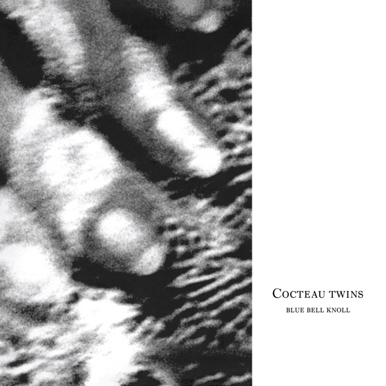 Cover artwork for Cico Buff