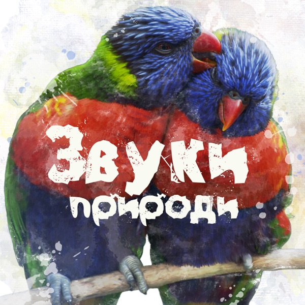 Звуки природи: Красивая, Успокаивающая музыка, Инструментальный фон, Сила музики против стресса, Отдохните, Музыка для беременных и полнейшего релакса, Сон