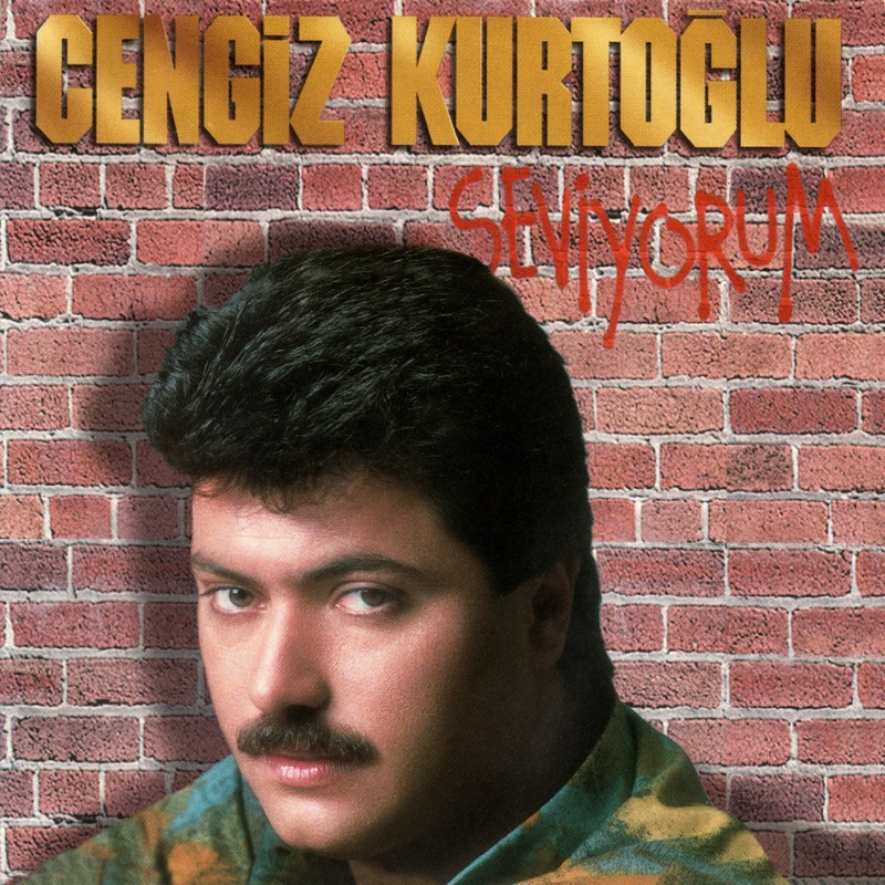 Sen İstedin
