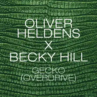 Gecko (Overdrive) [Jack Beats Remix] by Oliver Heldens & Becky Hill song reviws