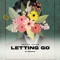 Letting Go (feat. Ricardo) - Adrian Alter lyrics