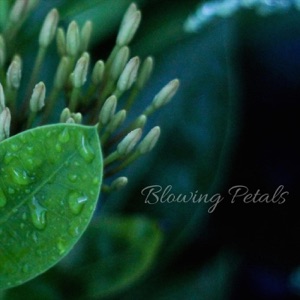 Blowing Petals