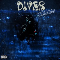 DIVER (feat. NAVID) - Single - Warb