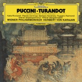 Turandot, Act III: "Quel nome!" - "Tanto amore segreto" - "Tu che di gel sei cinta" artwork