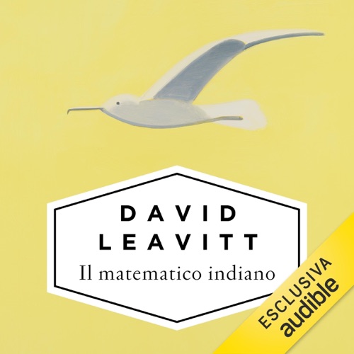 Il matematico indiano cover