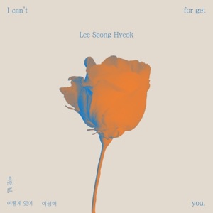 I Can't Forget You - Single