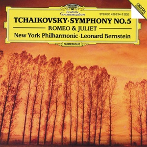 Symphony No. 5 in E Minor, Op. 64, TH.29: 3. Valse (Allegro moderato) [Live]