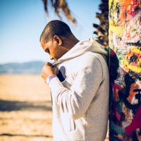 Active - Single - Dame D