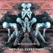 Natural Experience artwork