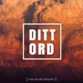 Ditt Ord (feat. Stephan Gundersen & Lillian Ravnåsen) artwork