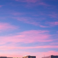 Daydream - Single - Goldkeyz