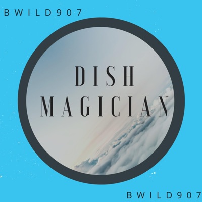 Dish Magician - Single