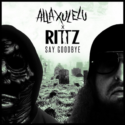 Say Goodbye (feat. Rittz) - Single