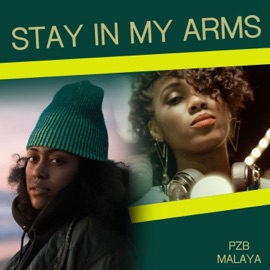 Stay in My Arms (feat. Malaya) PZB