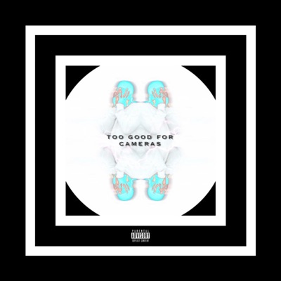 Too Good for Cameras