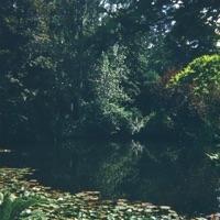 Primavera - Single - Charmer & Klay