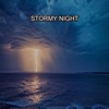 Stormy Night - Single