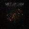 Golden Handcuffs - Metaform lyrics