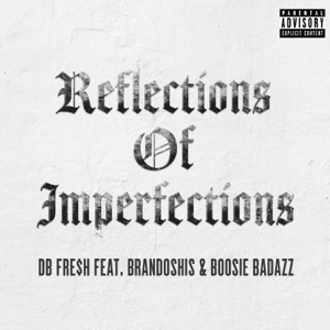 Reflections of Imperfections (feat. Brandoshis & Boosie Badazz)