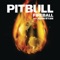 Fireball (feat. John Ryan) - Pitbull lyrics