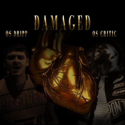 Damaged (feat. OS Critic) - Single