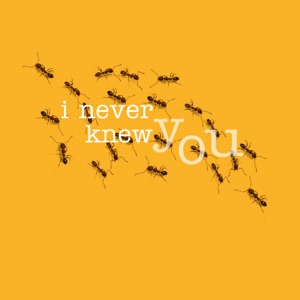 I Never Knew You