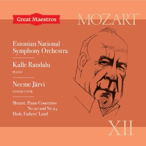 Piano Concerto No 24 in C Minor, K. 491: II. Larghetto