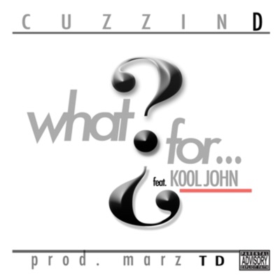 What For? (feat. Kool John) - Single