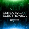 Essential Electronica, Vol. 02