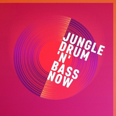 Jungle, Drum 'n' Bass Now