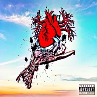 F**k Feelings - Solomon Aka King S-O