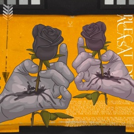 Plecat de acasa Aspy