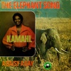 The elephant song