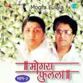 Jeerna Pachola