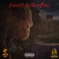 Leader of Da Silver Backs (feat. Candyman) - Single - Sheedy Sheed