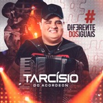 Meia Noite (Você tem meu Whatsapp)