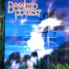 Bamboo Forest - Dump It