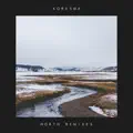 Snow Globe (feat. Axel Mansoor)