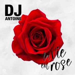 DJ Antoine - La vie en rose (DJ Antoine Vs. Mad Mark 2k17 Mix) - Line Dance Choreographer