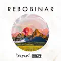 Rebobinar