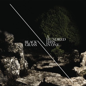 A Hundred Days In One