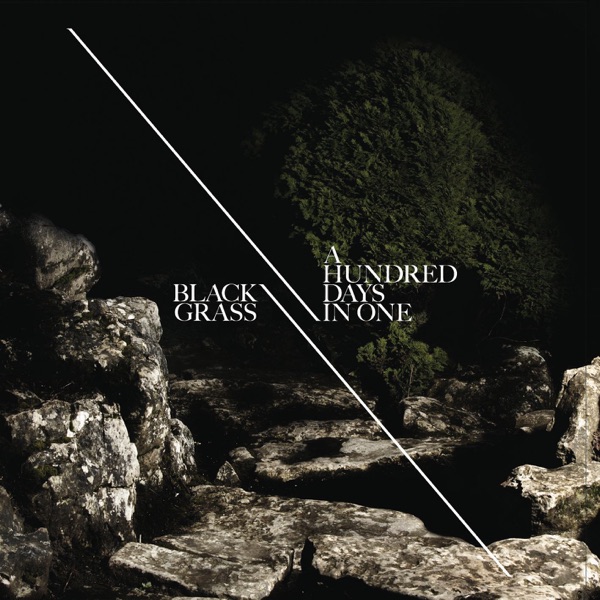 A Hundred Days In One