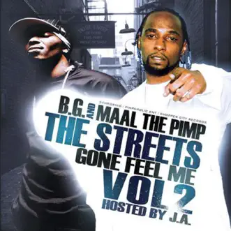 Hold It Down (feat. Chopper City Boyz) by Maal The Pimp & BG aka B. Gizzle song reviws